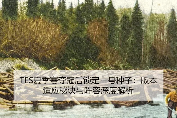 TES夏季赛夺冠后锁定一号种子：版本适应秘诀与阵容深度解析